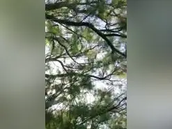 Amateur Live Porn of ZoraidaGiroNina