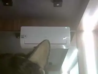 Camsoda Sex Chat of skinnykittencam