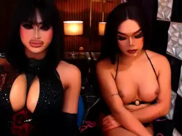 Chaturbate Adult Video Chat of stellaperkins